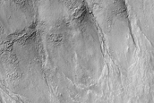 Gully Monitoring