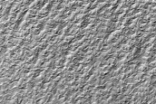 Terrain Sample
