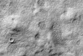 Terrain Sample