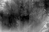 Dune Monitoring in Gamboa Crater