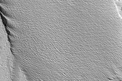 Terrain Sample