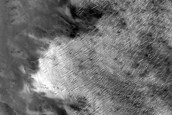 South Polar Region Cryptic Terrain Margin Monitoring in Reynolds Crater
