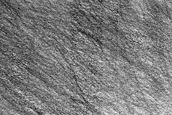 Terrain Sample