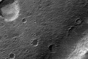 Terrain Sample