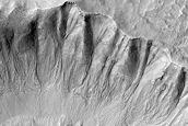 Gully Monitoring