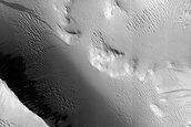 Terrain Sample