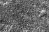Terrain Sample
