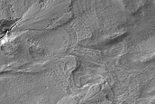 Gully Monitoring