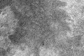 Terrain Sample