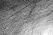 Terrain Sample