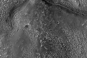 Channel Connected to Depression in Coracis Fossae