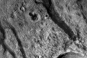 Meandering Channels in Newton Crater