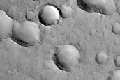 Terrain Sample