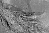 Gullies on Lobate Flow Feature Basin in Nereidum Montes