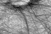 Terrain Sample