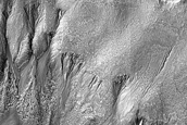 Perched Pole-Facing Gullies on Ancient Crater Wall