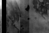 Dune Monitoring in Davies Crater