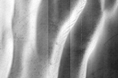 USGS Dune Database Entry Number 3489-619