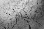 Terrain Sample