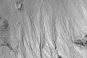 Gully Monitoring
