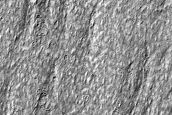 Terrain Sample