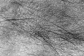 Terrain Sample