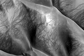Monitor Dune Avalanche Slopes