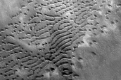 Dune Monitoring