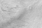 Terrain Sample