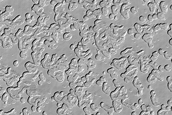 Monitoring of South Polar Residual Cap