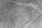 Terrain Sample