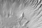Gully Monitoring