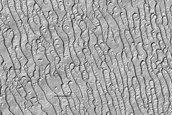 South Polar Residual Cap Site