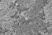 Seasonal Monitoring near Dorsa Argentea