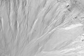 Gullied Crater with Rock Exposures