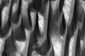 Defrosting Dune Transition and Elongated Barchans