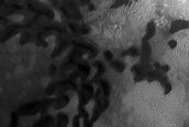 Dark Dunes in Impact Crater