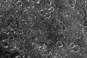 Terrain Sample