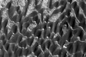 Dune Field in Baldet Crater