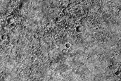 Terrain Sample