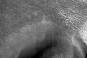Polar Dunefield
