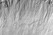 Gully Monitoring