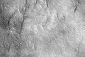 Terrain Sample