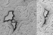 South Polar Residual Cap Intraseasonal Change Monitoring