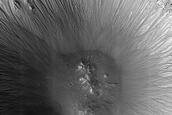 Gully Monitoring