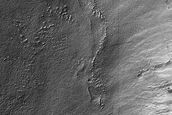 Looking for Gullies