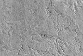 Lava Margins in Elysium Planitia