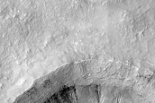 Gullied Crater Wall