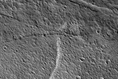 Terrain Sample