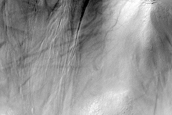 Gully Monitoring